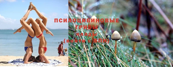 jwh Рославль